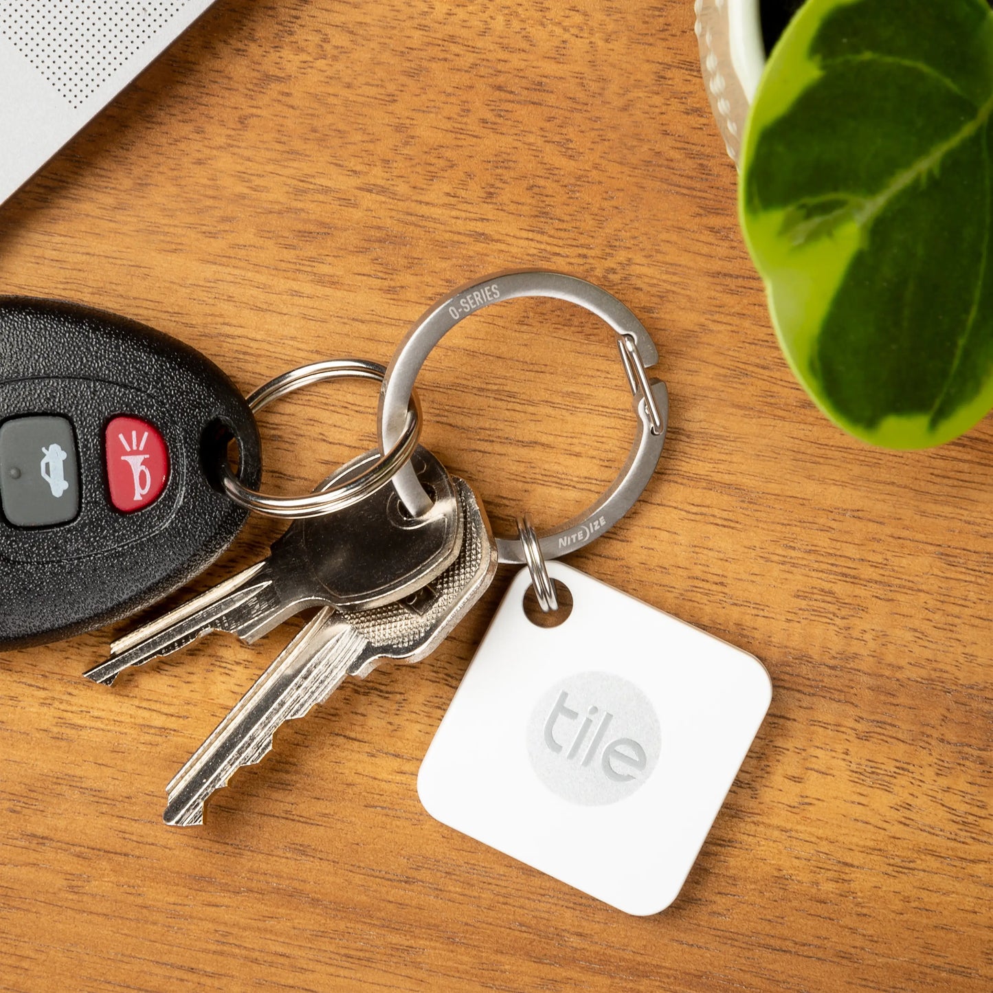 Nite Ize O-series Gated Key Ring 2pz Stainlees Steel USA