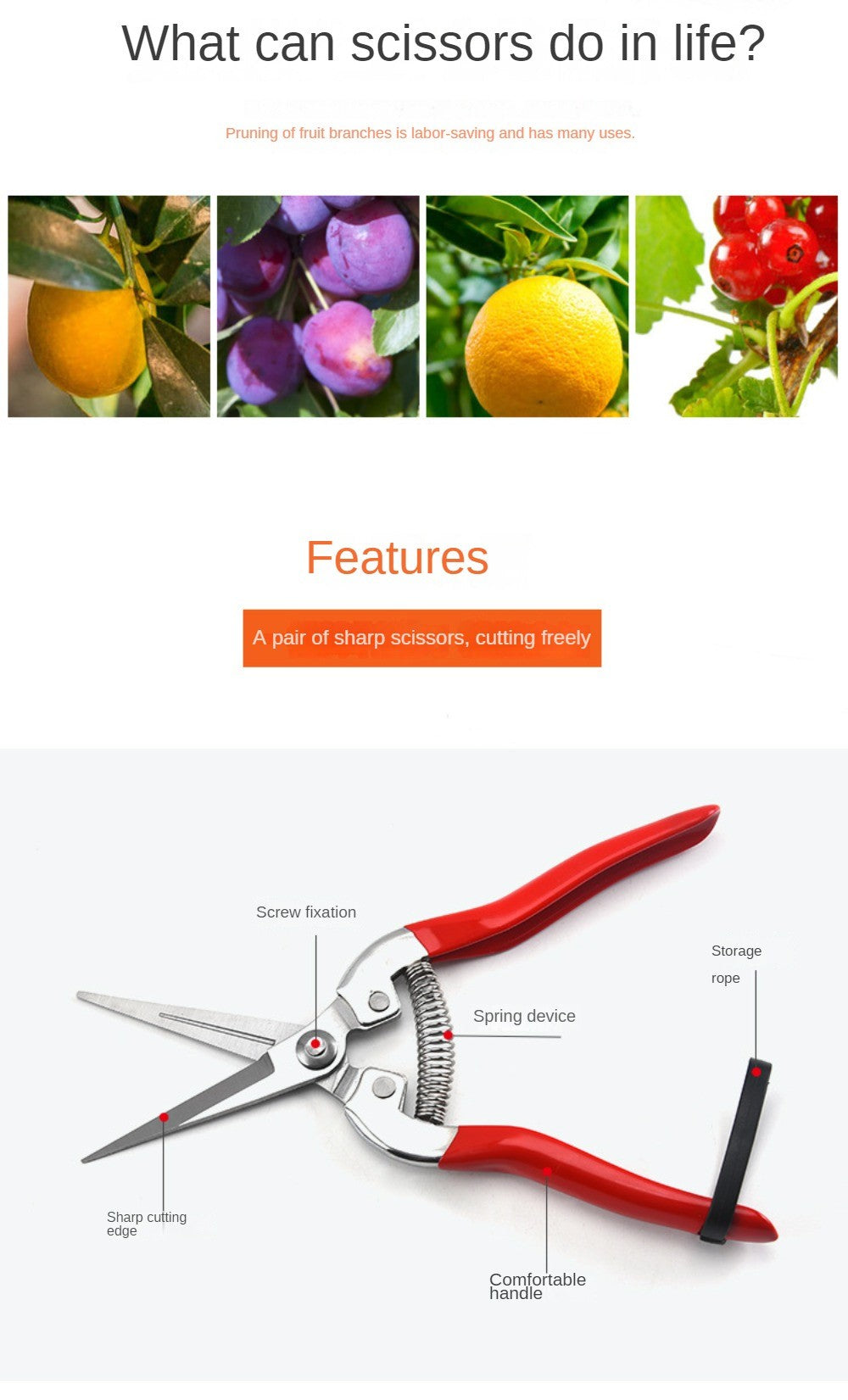 Tijeras de podar de acero inoxidable, tijeras de jardinería para el hogar, tijer