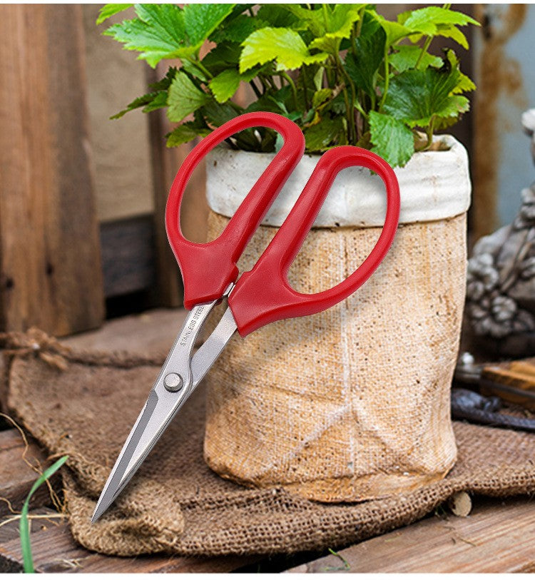 Venta al por mayor, tijeras de acero inoxidable para frutas y uvas, cortaúñas co