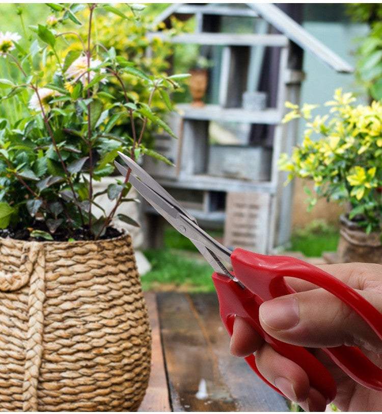 Venta al por mayor, tijeras de acero inoxidable para frutas y uvas, cortaúñas co