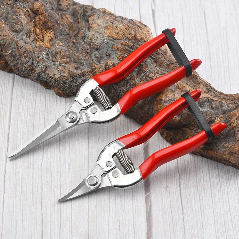 Tijeras de podar de acero inoxidable, tijeras de jardinería para el hogar, tijer