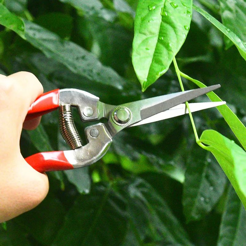 Tijeras de podar de acero inoxidable, tijeras de jardinería para el hogar, tijer