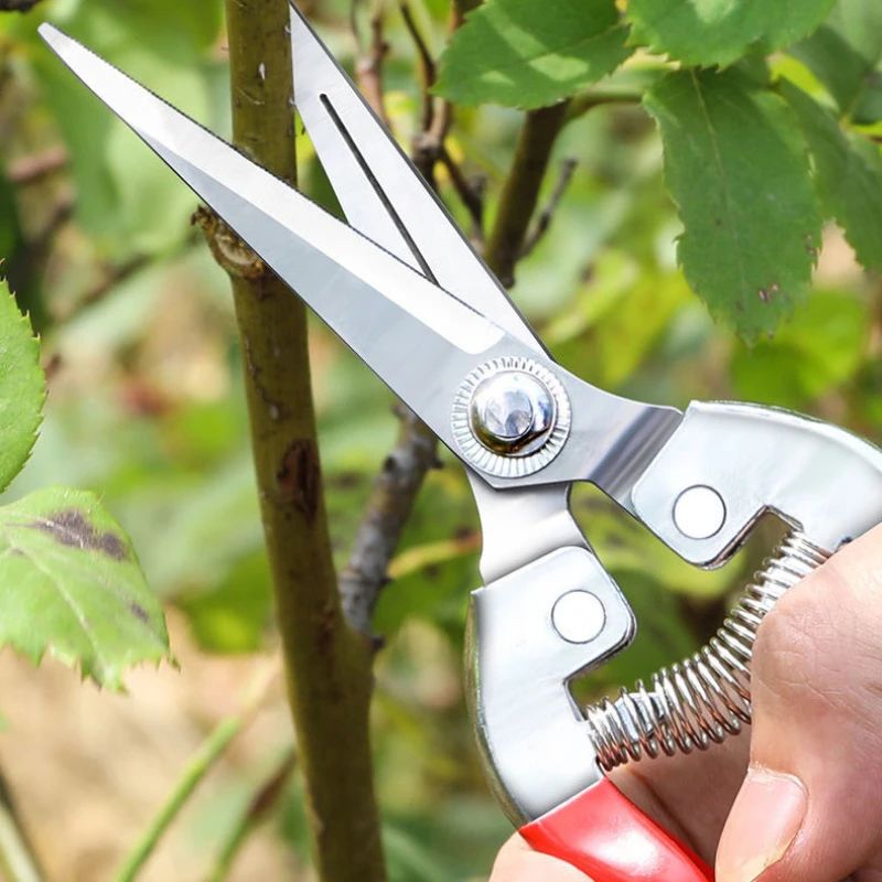 Tijeras de podar de acero inoxidable, tijeras de jardinería para el hogar, tijer