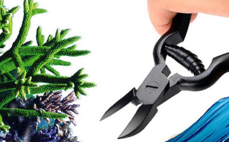 Vastaucean-Tijeras de acero inoxidable SPS para acuario, alicates rectos para pl