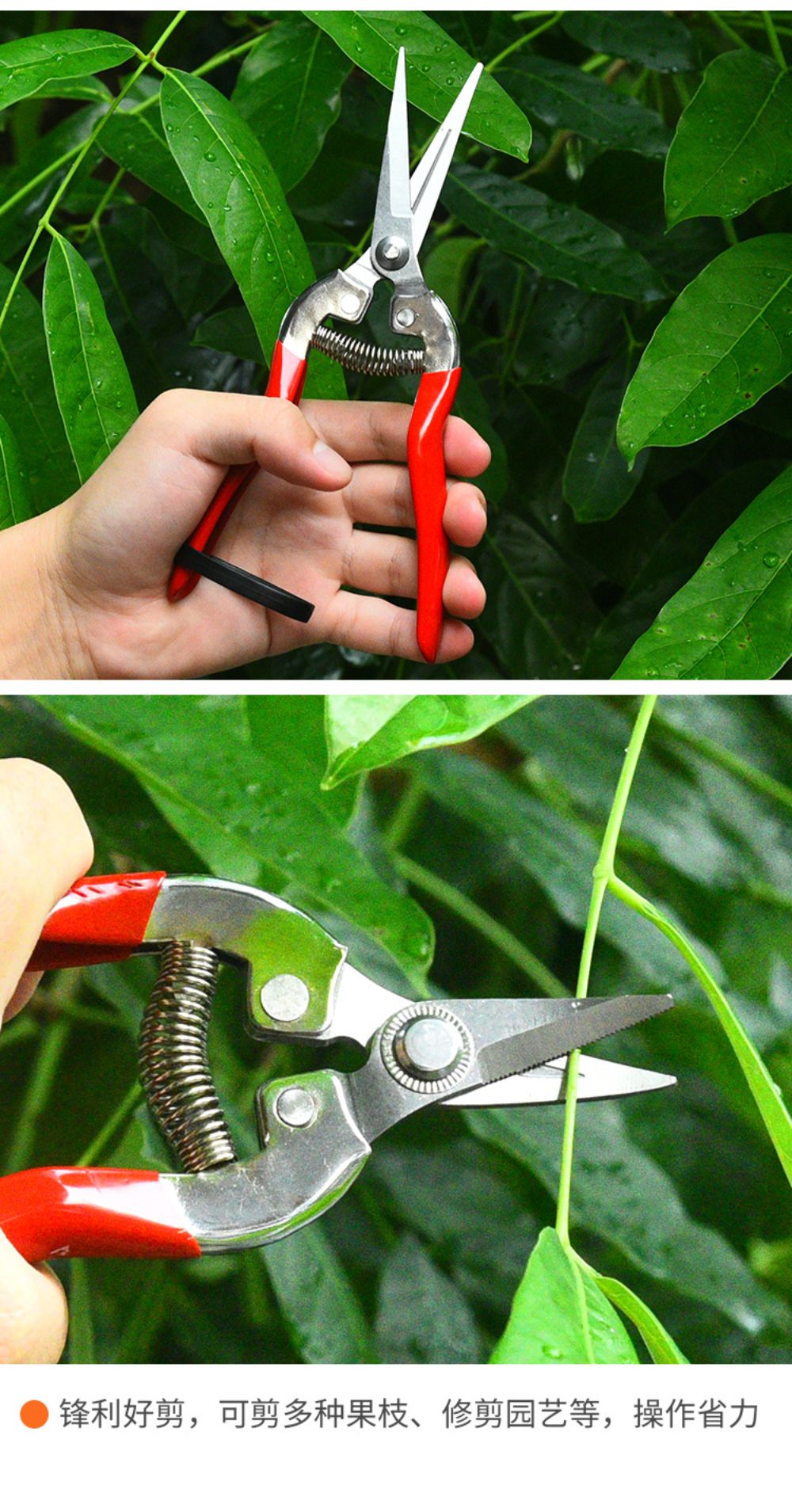 Tijeras de podar de acero inoxidable, tijeras de jardinería para el hogar, tijer